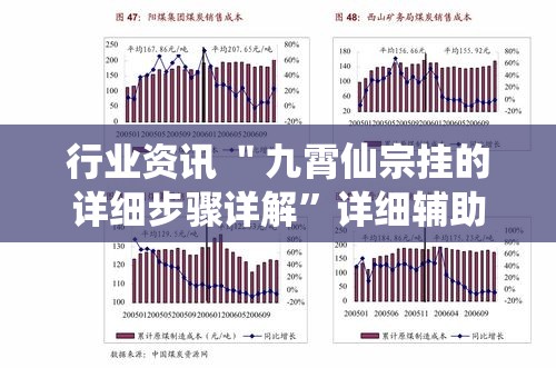 行业资讯 ＂九霄仙宗挂的详细步骤详解”详细辅助教程分享