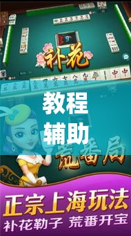 教程辅助!“哈灵麻将能买到挂吗”(详细辅助脚本)
