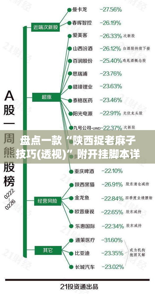 盘点一款“陕西捉老麻子技巧(透视)	”附开挂脚本详细教程