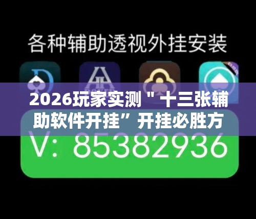 2026玩家实测＂十三张辅助软件开挂”开挂必胜方法
