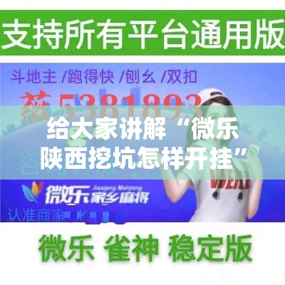给大家讲解“微乐陕西挖坑怎样开挂”详细分享装挂步骤教程