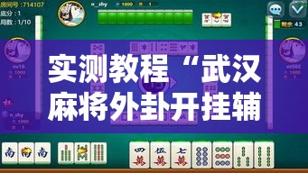 实测教程“武汉麻将外卦开挂辅助教程	”详细辅助透视