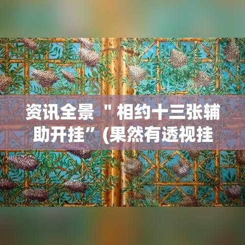 资讯全景 ＂相约十三张辅助开挂”(果然有透视挂)