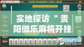 实地探访 ＂贵阳微乐麻将开挂神器下载”附开挂脚本详细步骤