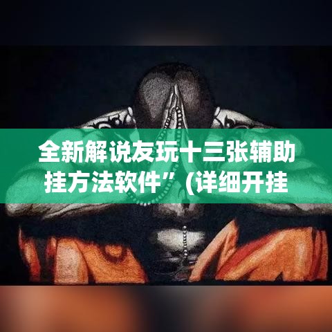 全新解说友玩十三张辅助挂方法软件”(详细开挂教程)