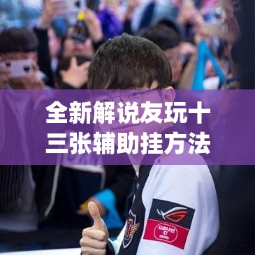 全新解说友玩十三张辅助挂方法软件	”(详细开挂教程)