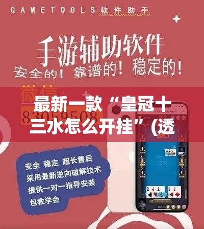 最新一款“皇冠十三水怎么开挂”(透视挂)辅助透视教程