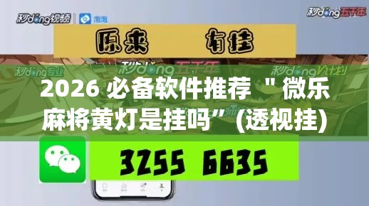 2026 必备软件推荐 ＂微乐麻将黄灯是挂吗”(透视挂)详细用法教程