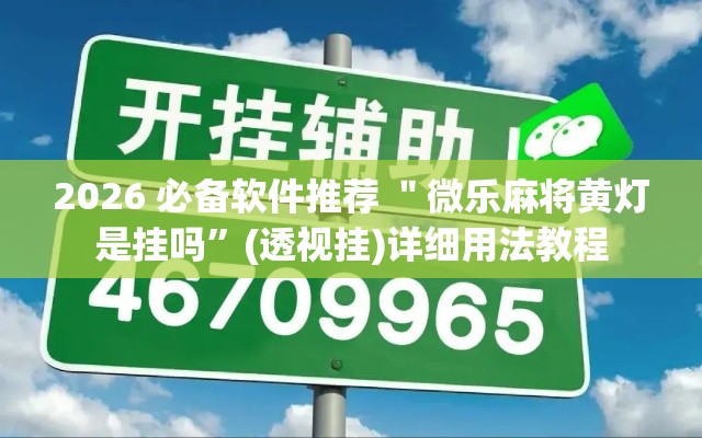 2026 必备软件推荐 ＂微乐麻将黄灯是挂吗”(透视挂)详细用法教程