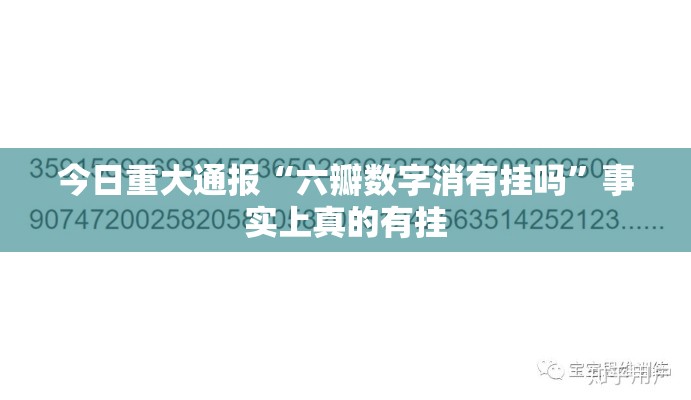 今日重大通报“六瓣数字消有挂吗”事实上真的有挂