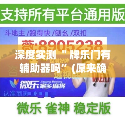 深度实测 ＂牌乐门有辅助器吗”(原来确实是有插件)