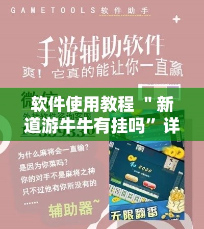 软件使用教程 ＂新道游牛牛有挂吗”详细分享装挂步骤教程