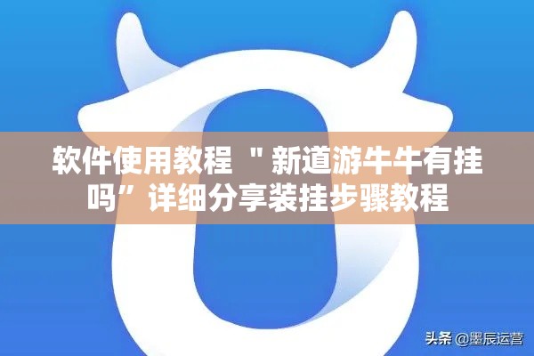 软件使用教程 ＂新道游牛牛有挂吗”详细分享装挂步骤教程