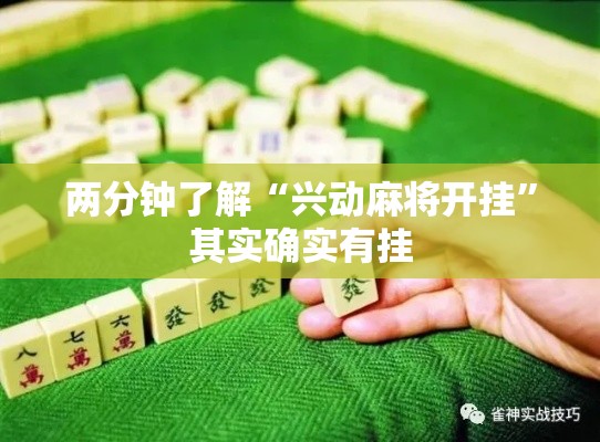 两分钟了解“兴动麻将开挂”其实确实有挂