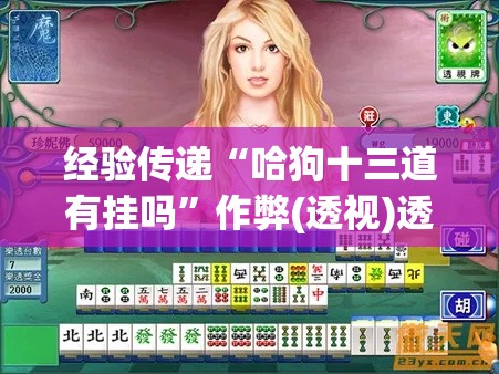 经验传递“哈狗十三道有挂吗	”作弊(透视)透视辅助