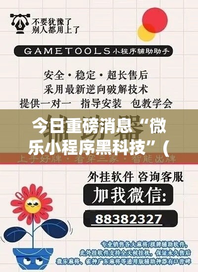 今日重磅消息“微乐小程序黑科技”(果然有透视挂)