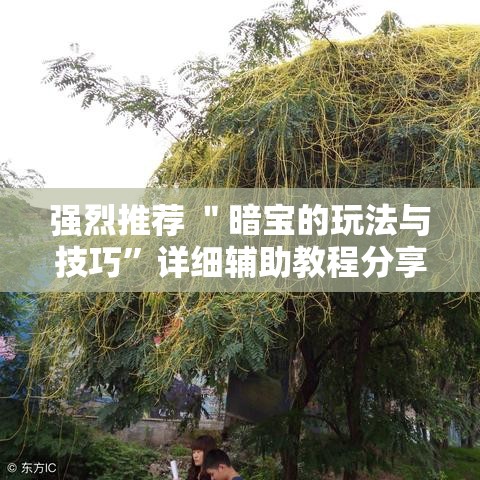 强烈推荐 ＂暗宝的玩法与技巧”详细辅助教程分享