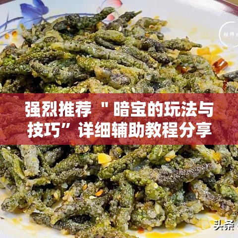 强烈推荐 ＂暗宝的玩法与技巧”详细辅助教程分享