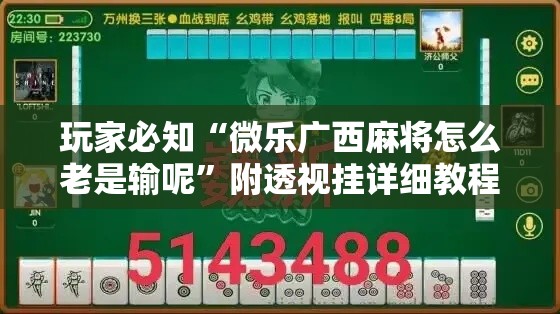 玩家必知“微乐广西麻将怎么老是输呢”附透视挂详细教程