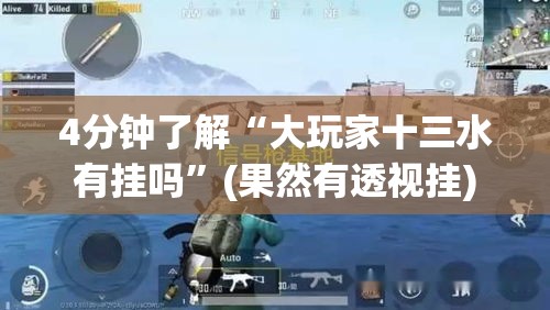 4分钟了解“大玩家十三水有挂吗”(果然有透视挂)