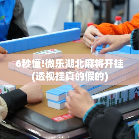 6秒懂!微乐湖北麻将开挂(透视挂真的假的)
