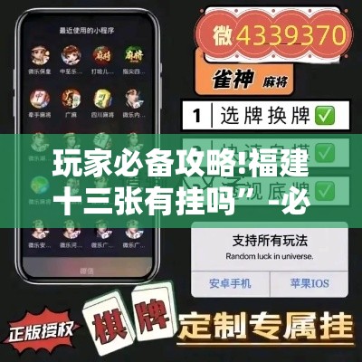 玩家必备攻略!福建十三张有挂吗”-必赢神器安装