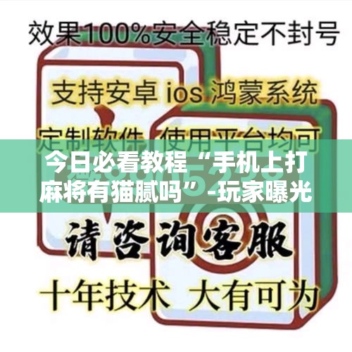 今日必看教程“手机上打麻将有猫腻吗”-玩家曝光开挂流程