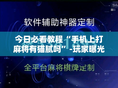 今日必看教程“手机上打麻将有猫腻吗”-玩家曝光开挂流程