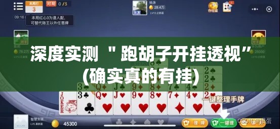 深度实测 ＂跑胡子开挂透视”(确实真的有挂)