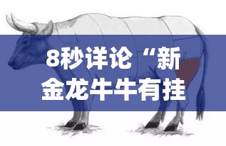 8秒详论“新金龙牛牛有挂吗”(详细透视教程)