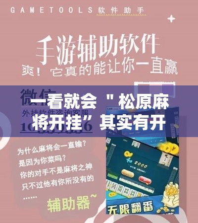 一看就会 ＂松原麻将开挂”其实有开挂插件!