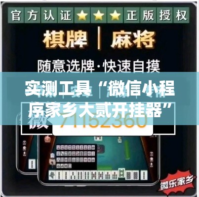 实测工具“微信小程序家乡大贰开挂器”(透视挂)详细用法教程