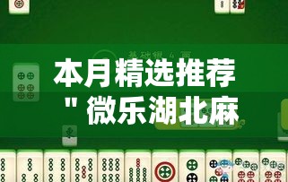 本月精选推荐 ＂微乐湖北麻将到底怎么开挂”原来可以开挂