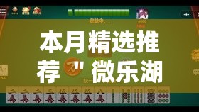 本月精选推荐 ＂微乐湖北麻将到底怎么开挂”原来可以开挂