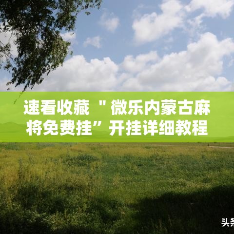 速看收藏 ＂微乐内蒙古麻将免费挂”开挂详细教程