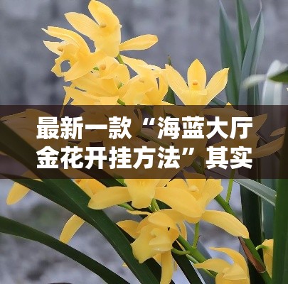 最新一款“海蓝大厅金花开挂方法”其实确实有挂