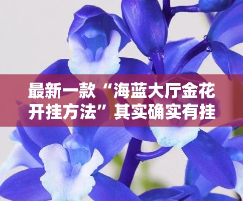 最新一款“海蓝大厅金花开挂方法	”其实确实有挂
