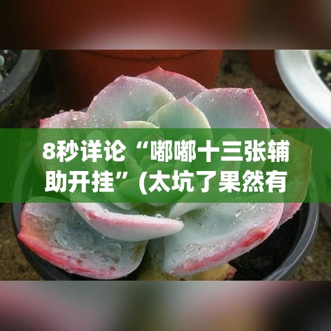 8秒详论“嘟嘟十三张辅助开挂”(太坑了果然有挂)