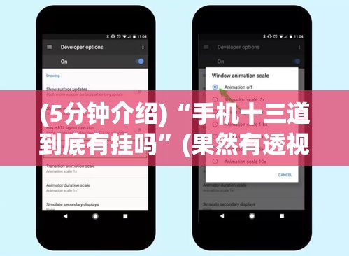(5分钟介绍)“手机十三道到底有挂吗”(果然有透视挂)