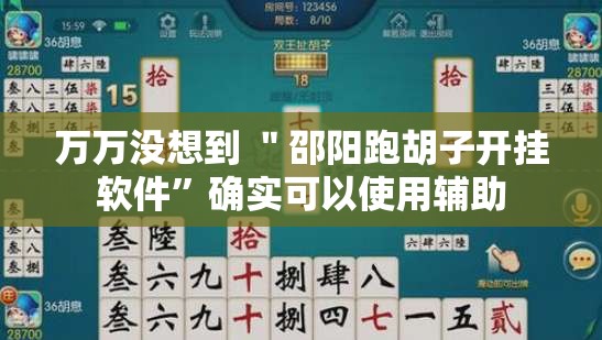万万没想到 ＂邵阳跑胡子开挂软件”确实可以使用辅助