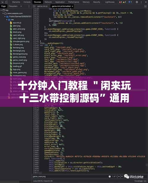 十分钟入门教程 ＂闲来玩十三水带控制源码	”通用版下载教程