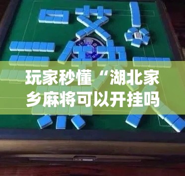 玩家秒懂“湖北家乡麻将可以开挂吗”(助赢详细开挂教程)