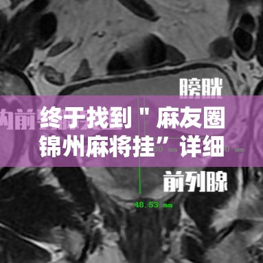 终于找到＂麻友圈锦州麻将挂”详细开挂安装教程
