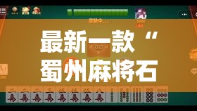 最新一款“蜀州麻将石城买挂”辅助工具插件,揭秘技巧开挂