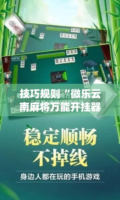 技巧规则“微乐云南麻将万能开挂器”(原来确实是有插件)