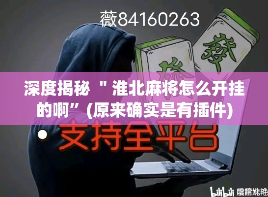 深度揭秘 ＂淮北麻将怎么开挂的啊	”(原来确实是有插件)
