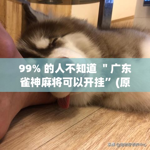 99% 的人不知道 ＂广东雀神麻将可以开挂”(原来确实是有插件)