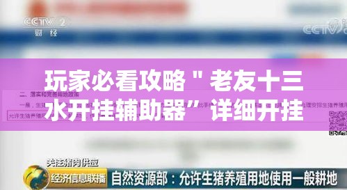 玩家必看攻略＂老友十三水开挂辅助器”详细开挂教程