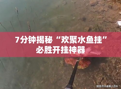 7分钟揭秘“欢聚水鱼挂	”必胜开挂神器