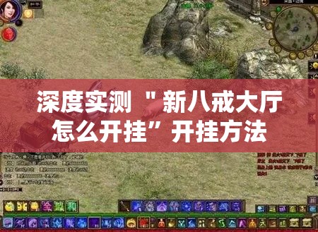 深度实测 ＂新八戒大厅怎么开挂”开挂方法